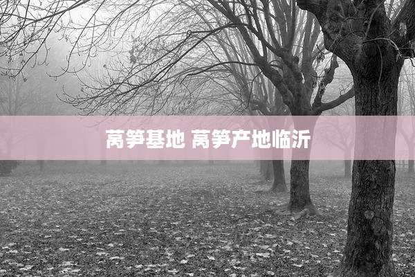 莴笋基地 莴笋产地临沂