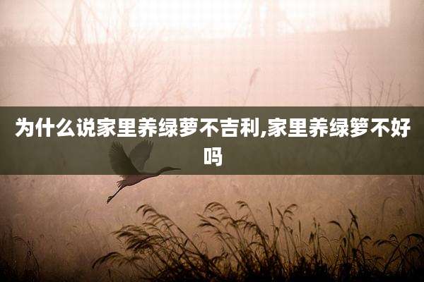 为什么说家里养绿萝不吉利,家里养绿箩不好吗