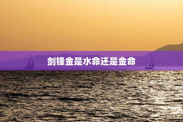 剑锋金是水命还是金命