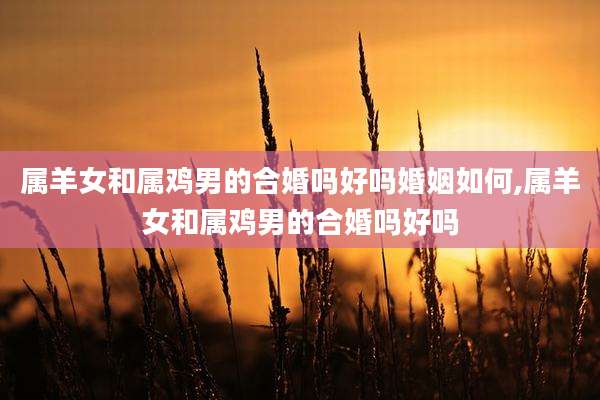 属羊女和属鸡男的合婚吗好吗婚姻如何,属羊女和属鸡男的合婚吗好吗