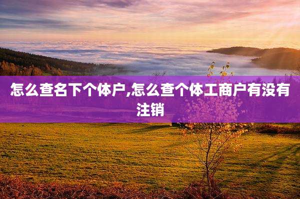 怎么查名下个体户,怎么查个体工商户有没有注销