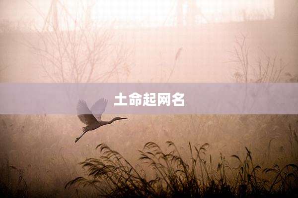 土命起网名
