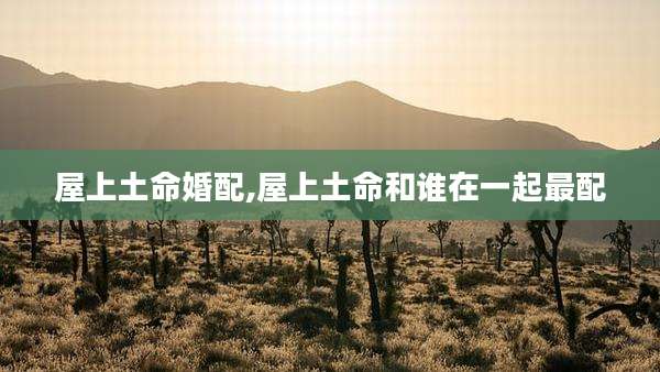 屋上土命婚配,屋上土命和谁在一起最配