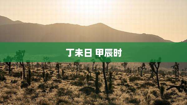 丁未日 甲辰时