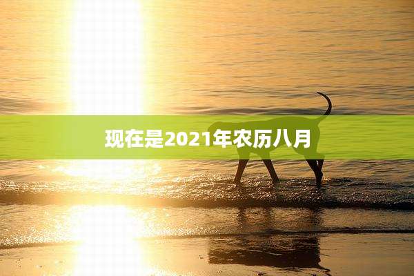 现在是2021年农历八月