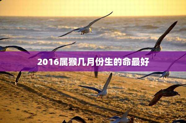 2016属猴几月份生的命最好