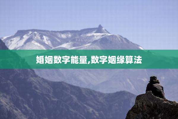 婚姻数字能量,数字姻缘算法