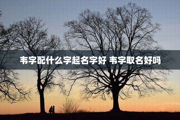 韦字配什么字起名字好 韦字取名好吗
