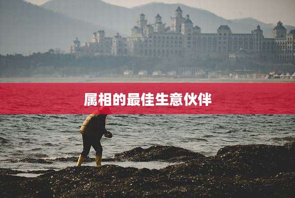 属相的最佳生意伙伴