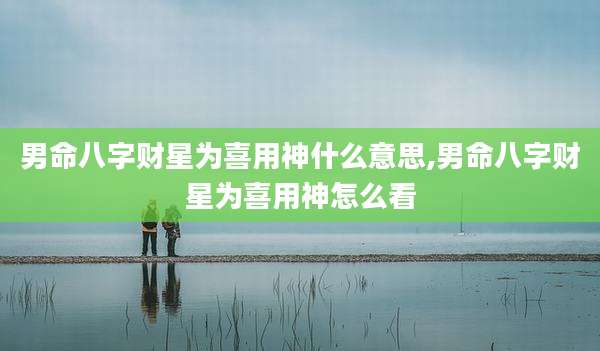 男命八字财星为喜用神什么意思,男命八字财星为喜用神怎么看