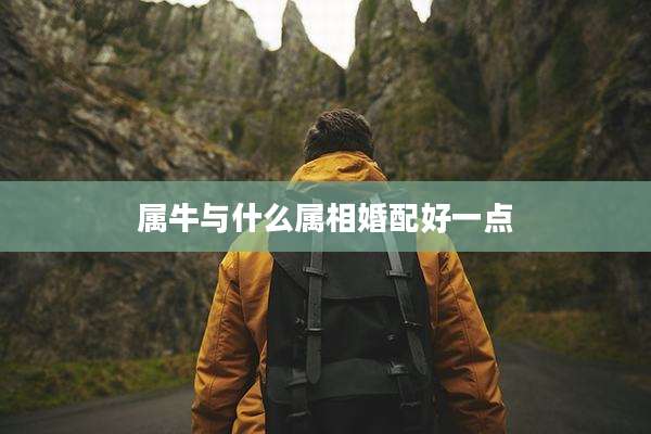 属牛与什么属相婚配好一点