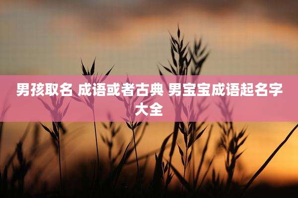 男孩取名 成语或者古典 男宝宝成语起名字大全