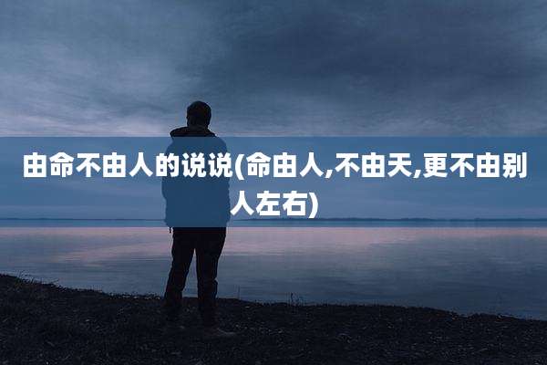 由命不由人的说说(命由人,不由天,更不由别人左右)