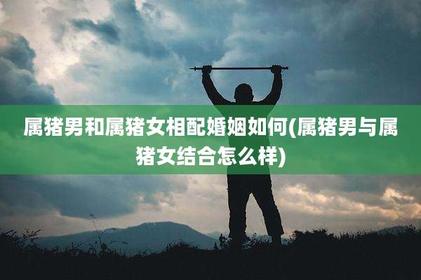 属猪男和属猪女相配婚姻如何(属猪男与属猪女结合怎么样)