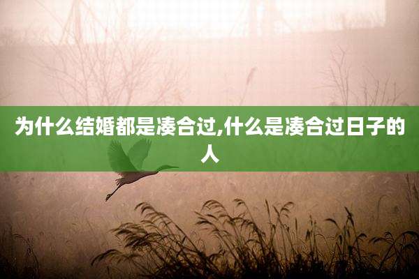 为什么结婚都是凑合过,什么是凑合过日子的人