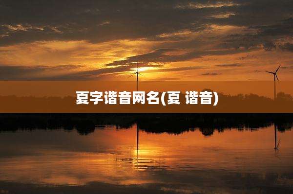 夏字谐音网名(夏 谐音)
