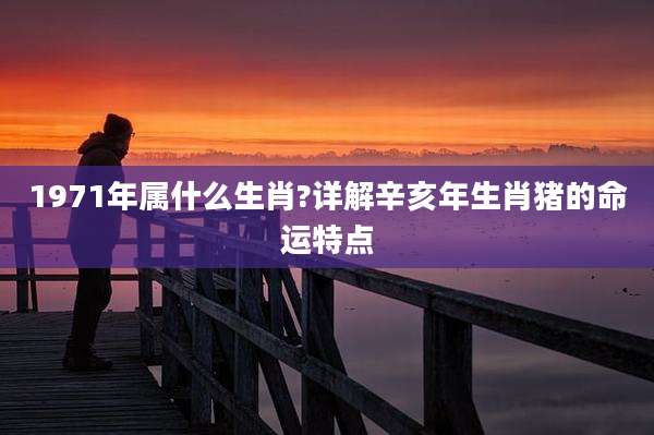 1971年属什么生肖?详解辛亥年生肖猪的命运特点