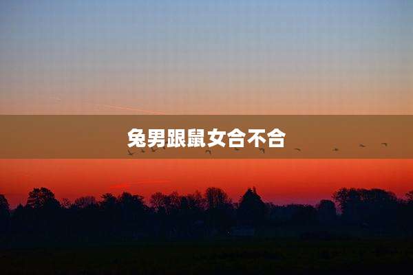 兔男跟鼠女合不合