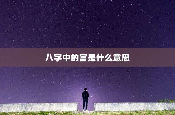 八字中的宫是什么意思