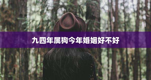 九四年属狗今年婚姻好不好