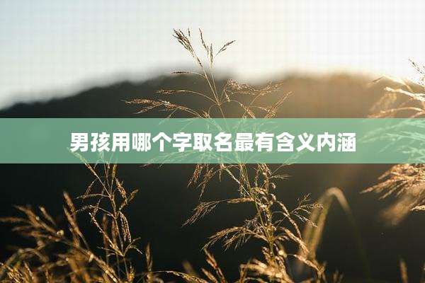 男孩用哪个字取名最有含义内涵