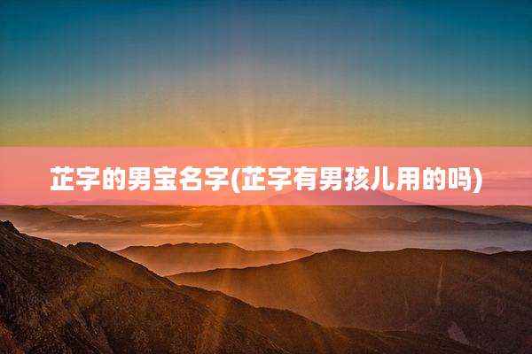 芷字的男宝名字(芷字有男孩儿用的吗)