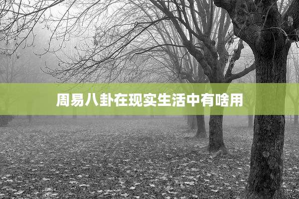 周易八卦在现实生活中有啥用