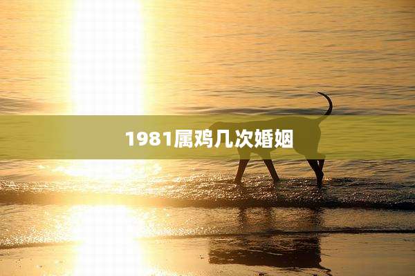1981属鸡几次婚姻