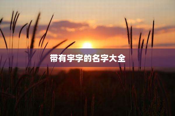 带有宇字的名字大全