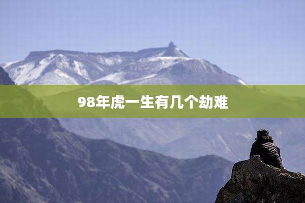 98年虎一生有几个劫难