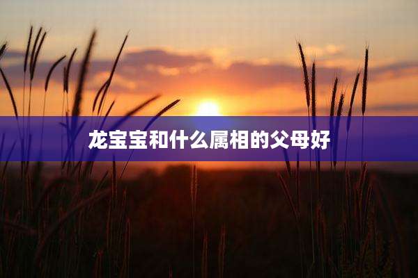 龙宝宝和什么属相的父母好