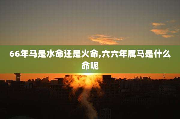 66年马是水命还是火命,六六年属马是什么命呢