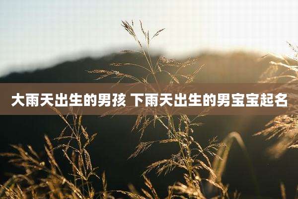 大雨天出生的男孩 下雨天出生的男宝宝起名