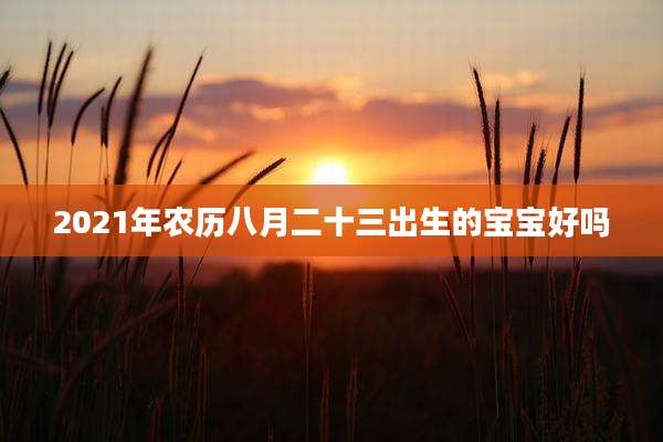 2021年农历八月二十三出生的宝宝好吗