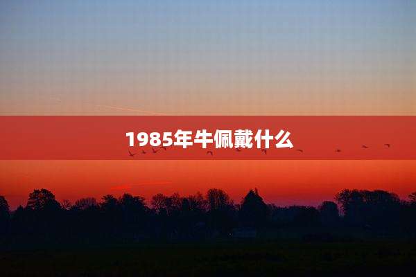 1985年牛佩戴什么