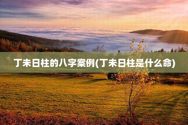 丁未日柱的八字案例(丁未日柱是什么命)