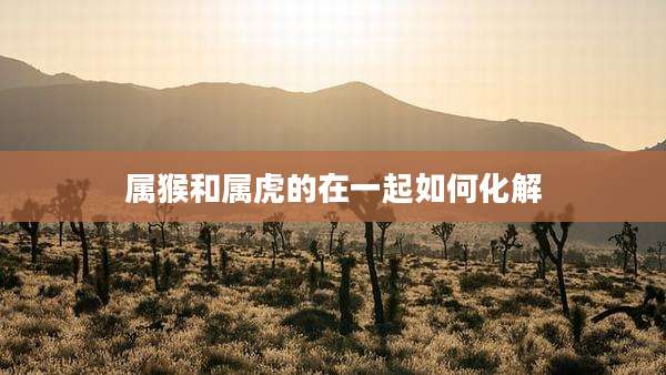 属猴和属虎的在一起如何化解