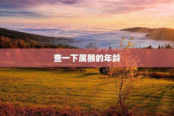 查一下属猴的年龄