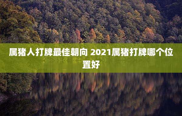 属猪人打牌最佳朝向 2021属猪打牌哪个位置好