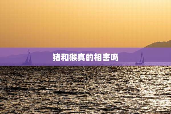 猪和猴真的相害吗