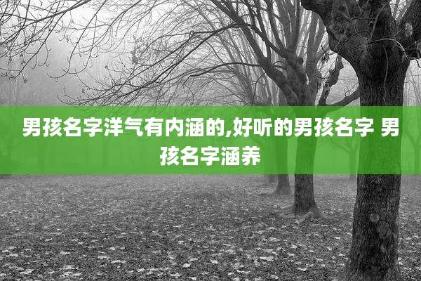 男孩名字洋气有内涵的,好听的男孩名字 男孩名字涵养