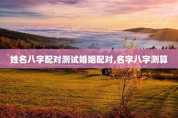 姓名八字配对测试婚姻配对,名字八字测算
