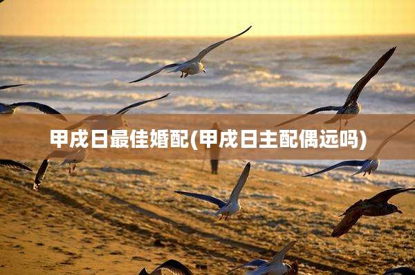 甲戌日最佳婚配(甲戌日主配偶远吗)