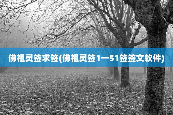 佛祖灵签求签(佛祖灵签1一51签签文软件)