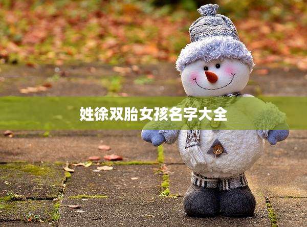 姓徐双胎女孩名字大全
