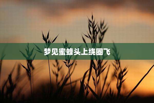 梦见蜜蜂头上绕圈飞