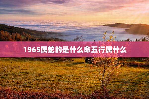 1965属蛇的是什么命五行属什么