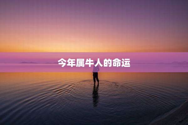 今年属牛人的命运