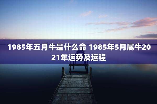 1985年五月牛是什么命 1985年5月属牛2021年运势及运程