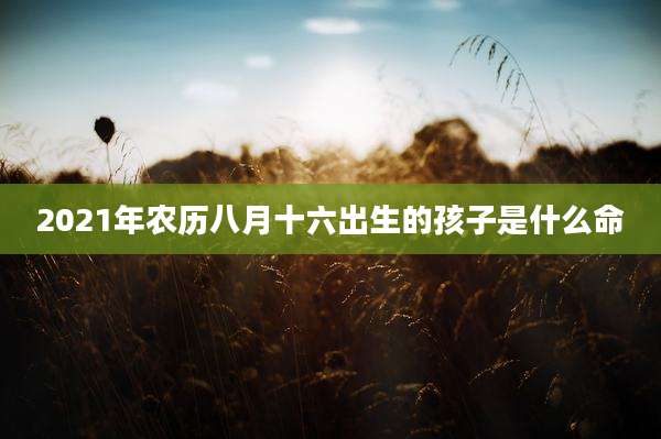 2021年农历八月十六出生的孩子是什么命